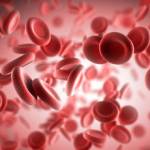 5 dicas alimentares para aumentar a circulação sanguínea Circulação 