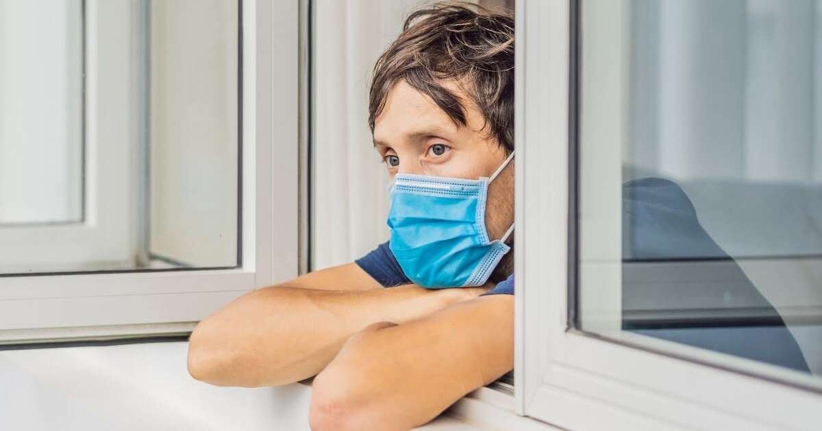 Prato colorido com alimentos de uma dieta à base de plantas, incluindo frutas, vegetais, grãos integrais, leguminosas, sementes e nozes.