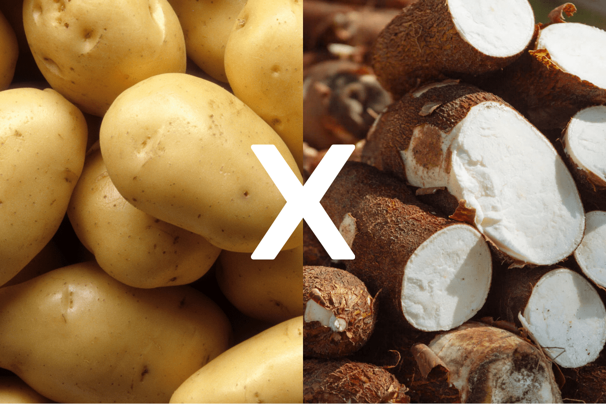 Comparação entre batata inglesa e mandioca em uma tabela nutricional